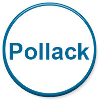 Pollack Modellbau
