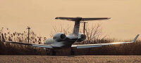 Freewing PJ50 Private Jet mit Gyro EPO 1700mm PNP