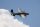 Freewing FlightLine B-25J Mitchell EPO 1600mm PNP