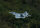 XFly F-22 Raptor EPO 702mm PNP