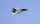 Freewing F-14 Tomcat EPO 1250mm PNP