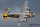 Freewing Flightline B-24 Liberator Silver EPO 2000mm PNP