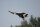 Freewing SU-35 Grey Camo EPO 1080mm High Performance PNP