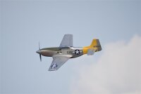 Freewing Flightline P-51D Mustang EPO 850mm PNP