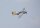 Freewing Flightline P-51D Mustang EPO 850mm PNP