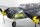 Dynam Messerschmitt BF-110 EPO 1500mm RTF V2