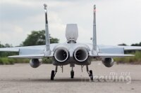 Freewing F-15C Eagle EPO 965mm High Performance PNP